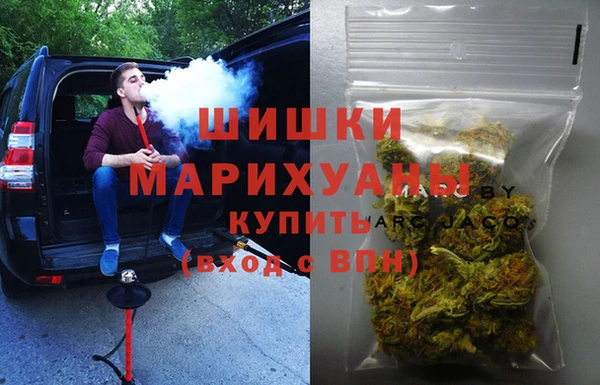 крисы Балахна