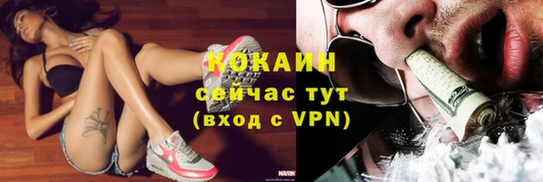 крисы Балахна