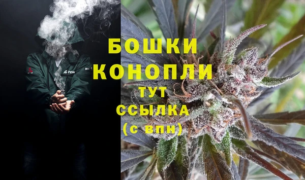 крисы Балахна