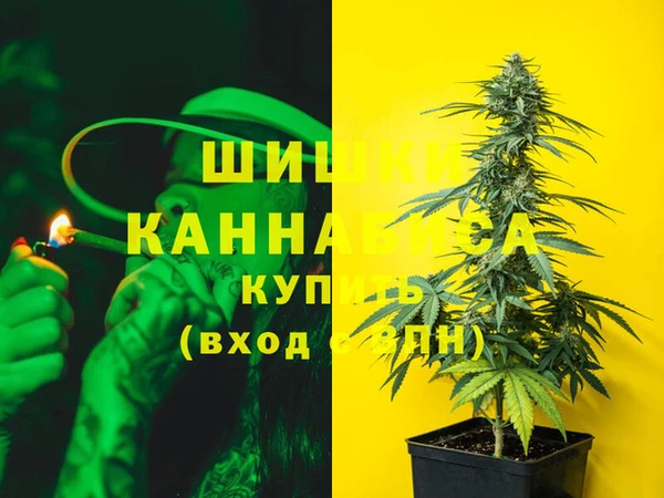 крисы Балахна