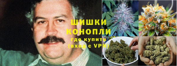 крисы Балахна