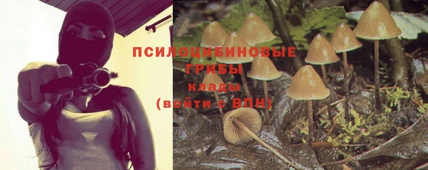 крисы Балахна